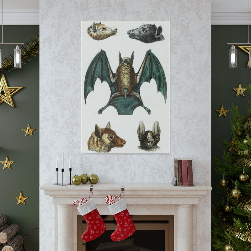 Vintage Various Bats Illustrations Canvas Gallery Wraps-Canvas-Printify-PaxtonGate