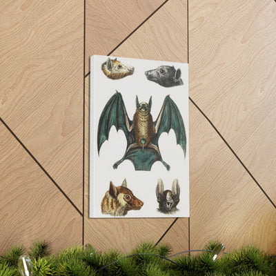 Vintage Various Bats Illustrations Canvas Gallery Wraps-Canvas-Printify-PaxtonGate