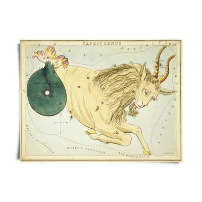 Vintage Zodiac Sign Astrology Print - Paxton Gate