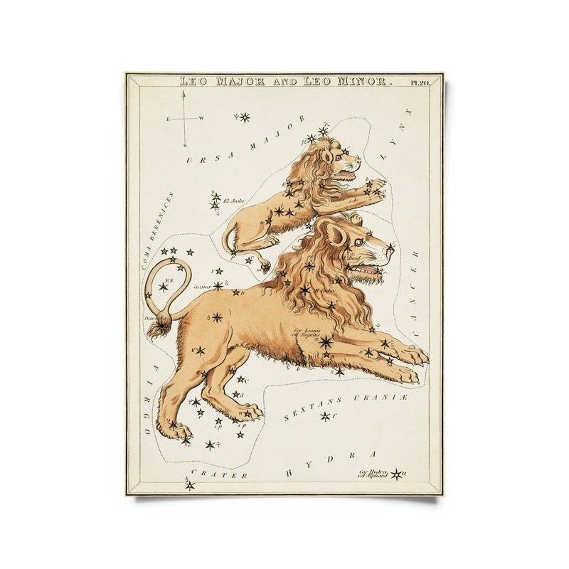 Vintage Zodiac Sign Astrology Print - Paxton Gate