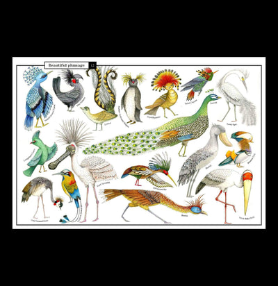 Wonders of Nature: Explorations in the World of Birds, Insects, and Fish-Books-Penguin Random House-PaxtonGate