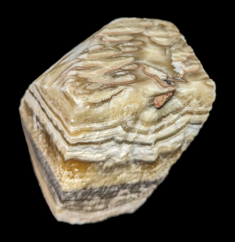 Zebra Calcite-Minerals-El Paso Rock Shop-PaxtonGate