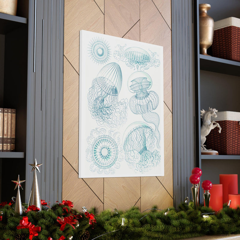 "leptomedusae faltenquallen" By Ernst Haeckel Canvas Gallery Wraps-Canvas-Printify-PaxtonGate