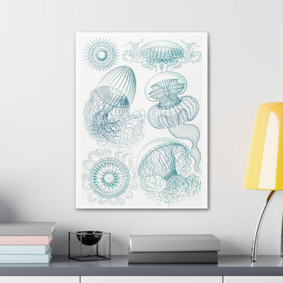 "leptomedusae faltenquallen" By Ernst Haeckel Canvas Gallery Wraps-Canvas-Printify-PaxtonGate