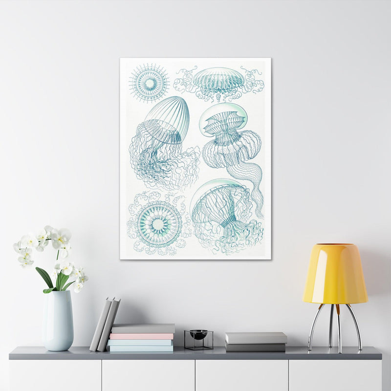 "leptomedusae faltenquallen" By Ernst Haeckel Canvas Gallery Wraps-Canvas-Printify-PaxtonGate